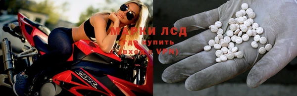 винт Аркадак