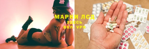 PSILOCYBIN Армянск