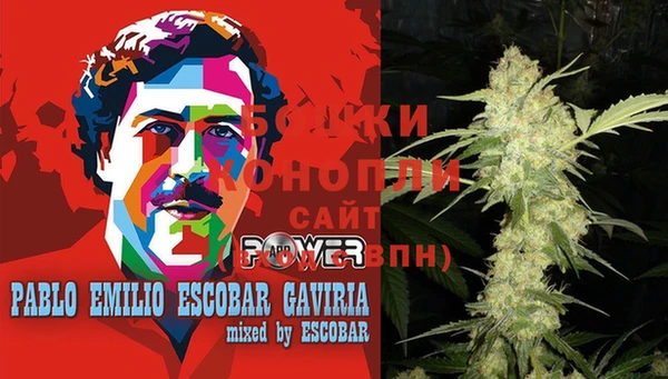 PSILOCYBIN Армянск
