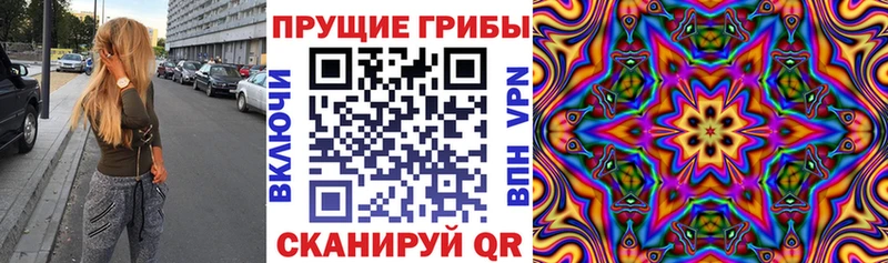 дарк нет как зайти  Олонец  Псилоцибиновые грибы GOLDEN TEACHER  где купить  